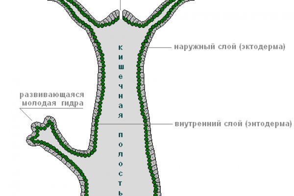 Кракен вход на сайт