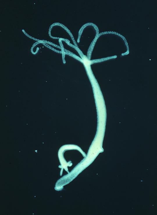Kraken вход